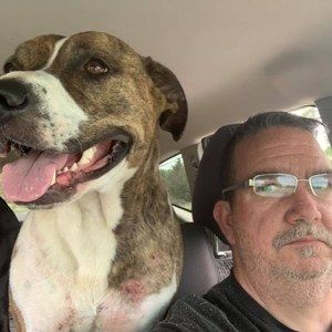 Meet your Posher, William